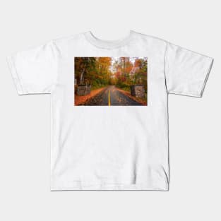 Fall Foliage Kids T-Shirt